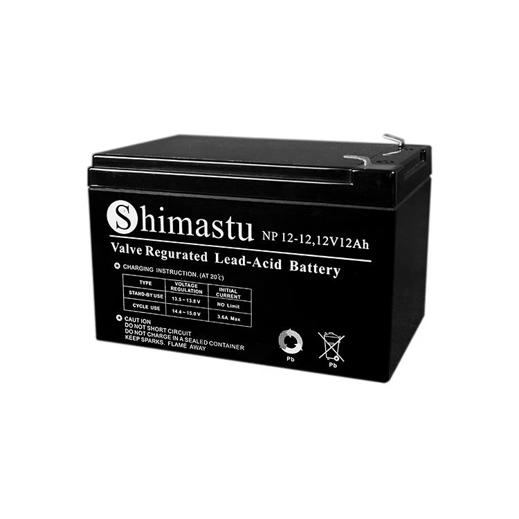 12 volt emergency battery